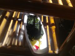 -老牌坊云南鱼豆花火锅(哈西万达店)
