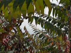 -天津盘山风景名胜区