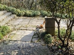 -杭州半山国家森林公园