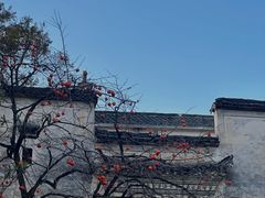 -塔川景区