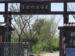 -茯茶镇