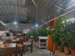 大堂-石岐乳鸽村(桥观坊南四巷店)