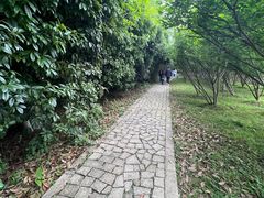 -苏州太湖国家湿地公园