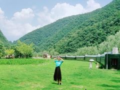 -牛背梁国家森林公园