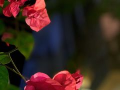 景观位-默迹咖啡馆