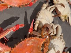 -一方渔歌蒸汽海鲜自助(文化路万达广场店)