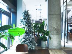 -The Rug Cafe(王府中环店)