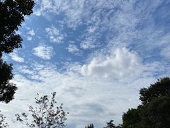 -上海滨江森林公园