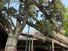 -晋祠公园
