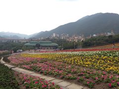-东部华侨城