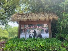 -苏州太湖国家湿地公园
