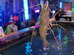 -钳真多钓虾馆·小龙虾海鲜烧烤(九六广场店)