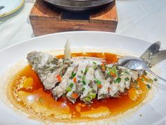花椒蒸鲈鱼-海儀美食楼(湾仔海鲜街店)