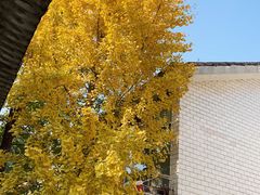 -裕新楼粉面馆·石磨手工粉(四方坪店)