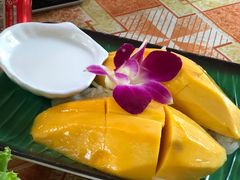 -Jungle Kitchen