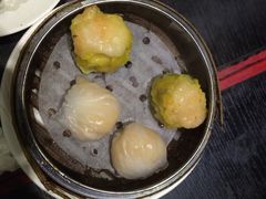 -糖朝(尖沙咀店)