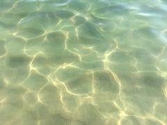 -亚龙湾海底世界