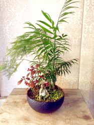 -ＤＯＭＯプロの美容サロン