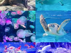 -正佳极地海洋世界