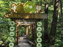 -大岭沟猕猴桃谷风景区