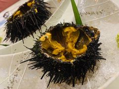 生海胆-红叶日料·放题·海胆·定食(星海店)