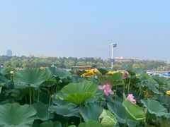 -长春市南湖公园