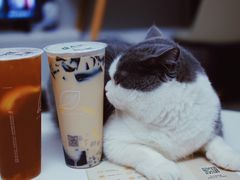 -益禾堂(宝岗店)