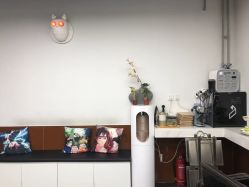 -查克拉造型
