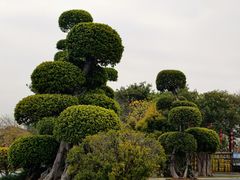 -琅岐红光湖公园