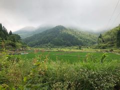 -罗垟古村