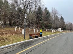 -长春世界雕塑园冰雪艺术天地