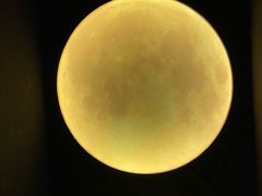 -深圳独角兽星空艺术馆