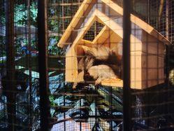 -酷嗒动物文化乐园(cutezoo西溪乐天城店)