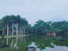 -中国科学院西双版纳热带植物园