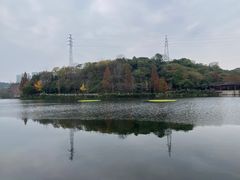 -重庆彩云湖湿地公园