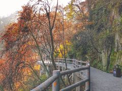 -少华山国家森林公园