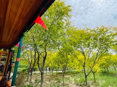 -西青郊野公园