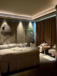 -VELEE·SPA高定疗愈会所