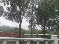 -水濂山森林公园