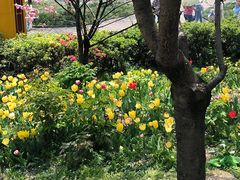 -南山植物园