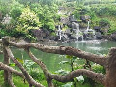 -九龙湾·御膳坊(九龙窠路店)