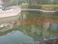 -行者书屋大堂吧 ·下午茶(南京圣和府邸酒店)