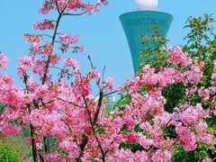 -狐尾山公园