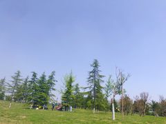 -洨河生态公园