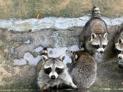 -杭州野生动物世界