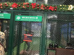-洛克公园(苏州中心商场)