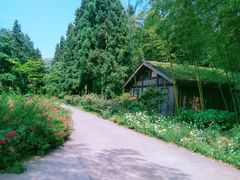 -重庆雨台山风景区