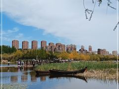 -前关湿地公园