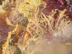 -沙胆彪炭炉牛杂煲(成都玉林店)