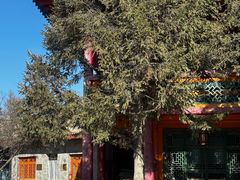 -西宁市东关清真大寺